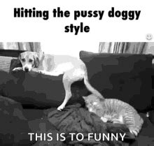 doggy porn gifs|Free doggystyle Porno GIFs on XGroovy.com